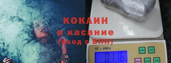 гидра Абаза