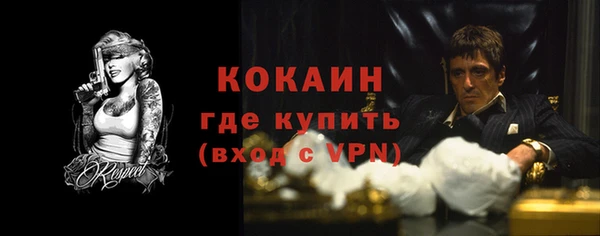 гидра Абаза