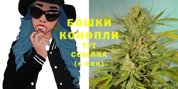 гидра Абаза