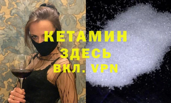 гидра Абаза
