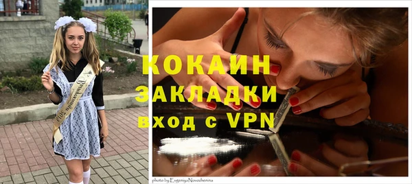 гидра Абаза